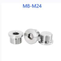 M8-M24 Hex Socket End Cap Flange Inner Hexagon Plug Oil Water Pipe Fitting 304/316 Stainless Steel Metric Male Thread DIN908 Pipe Fittings Accessories