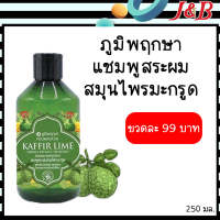 POOMPUKSA KAFFIR LIME HERBAL EXTRACT SHAMPOO ภูมิพฤกษา แชมพูสระผมสมุนไพรมะกรูด