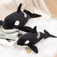 Killer 40/50CM หมอนตุ๊กตาปลาวาฬลายยักษ์วาฬ Orcinus Orca ตุ๊กตาตุ๊กตาฉลามของเล่นฉลามเด็กของเล่นนุ่มสำหรับเด็กผู้ชายของขวัญที่ดี