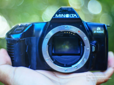 ขายกล้องฟิล์ม Minolta a3700i serial 13102411