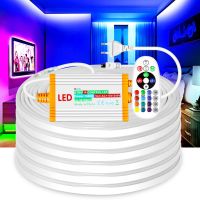 แถบไฟ Led นีออน RGB 220V 10M 30M 50M 100M 1500 V พร้อม IP68กันน้ำแหล่งจ่ายไฟควบคุมไฟระยะไกลเครื่องตกแต่งภายนอก