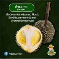 ขายดีอันดับ1 ต้นทุเรียนสายพันธุ์ก้านยาวความสูงประมาณ40-50ซม ส่งทั่วไทย ต้นไม้ ฟอก อากาศ กระถาง ต้นไม้ ไม้ ประดับ ต้นไม้ ปลูก ใน บ้าน