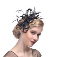 Fascinators For Women Feather Net Hair Fascinator Beak Clip Hair Clip Hat Wedding tail Evening Party Dress Hair Headband