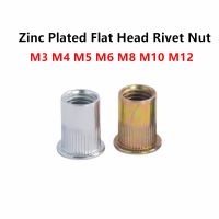 ◐ M3 M4 M5 M6 M8 M10 M12 Zinc Plated Rivenut Flat Head Threaded Rivet Insert Nutsert Cap Rivet Nut