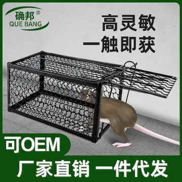 Plank Mouse Trap, Easy To Clean Humane Reusable Humane Bucket Traps  Effective Elastic For Catching Mice 