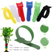 25/50pcs Adjustable Plant Ties Wrap  Mouse Earphones Wire Management Nylon Cable Ties Garden Tools Support Garden Accessories