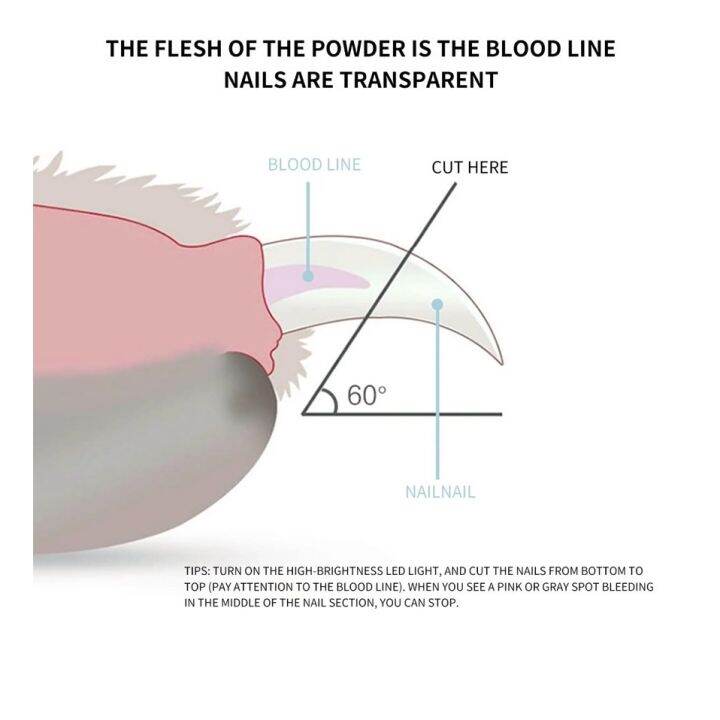 พร้อมส่ง-mini-led-nail-clipper-กรรไกรตัดเล็บสัตว์เลี้ยง-มีไฟ-led-น้ำหนักเบา-พกพาง่าย