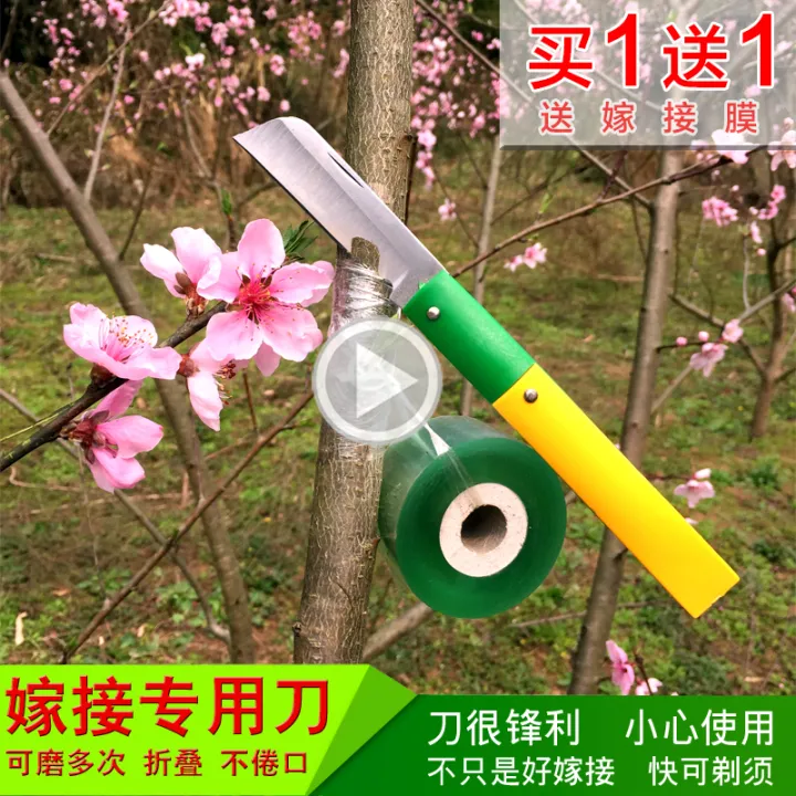 Grafting knife, bud, knife, fruit cutting, wood cutting, tree cutting