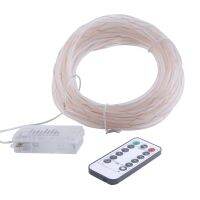 Remote Control 10M 100 LED Light Waterproof Transparent Tube Outdoor Lamps LED String Light Copper Wire with 8 Modes Battery Box