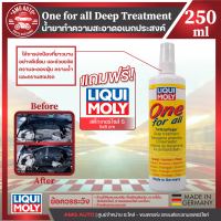 Liqui Moly One For All Deep Treatment 250ml- น้ำยาขจัดคราบเอนกประสงค์ทำความสะอาด, รักษา, ดูแลและปกป้อง ช่วยทำให้พลาสติกที่ผุกร่อนอย่างหนัก มีความเงางาม