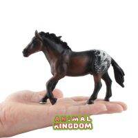 Animal Kingdom - โมเดล Horse ม้า แอพพาลูซ่า ขนาด 14.50 CM (จากสงขลา)