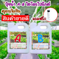 ปุ๋ย A-B ไฮโดรโปรนิกส์ ปุ๋ยน้ำ ขนาด 1 ลิตร ใช้ปลูกผักสลัด ผักกินใบ กินผล  250-1000 CC. (แถม หลอดตวงปุ๋ย 20 ml)