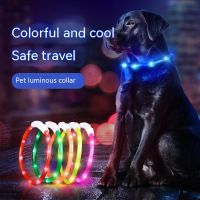 ☬ Dog Collar Glow-In-The-Dark Night Charging Accessories Night Safety Flash Anti-Loss Dog Collar Glow Collar Lde Pet Glow Collar