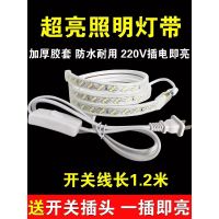 Hot Sale Outdoor light strip led super bright waterproof 220V self-adhesive switch home decoration living room ceiling background wall