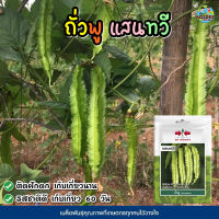 เมล็ดพันธุ์ถั่วพู แสนทวี ตราศรแดง winged bean เมล็ดถั่วพู เมล็ดพันธุ์ผัก เมล็ดผักสวนครัว เมล็ดพันธุ์ซองประหยัด ศรแดง