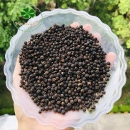 hạt tiêu đen  tiêu sọ  cay, thơm túi 300g Việt Nguyên