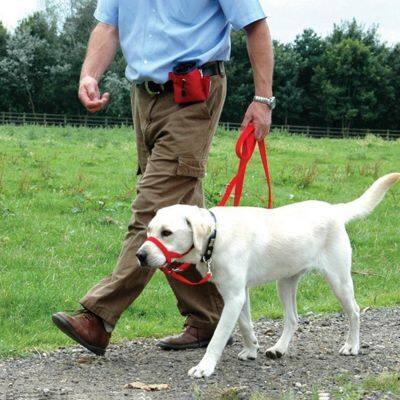 [pets baby] สุนัขสัตว์เลี้ยงสุนัขเบาะหัว CollarHalter LeashStop ดึงการฝึกอบรม Muzzles เครื่องมือ