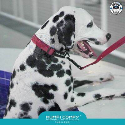 Kumfi Comfy Waterproof Leash สายจูงสุนัขกันน้ำรุ่นใหม่ !!