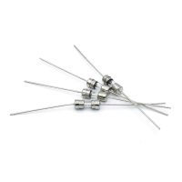 1A ฟิวส์1.5A Gl 10ชิ้น/ล็อต8A 3A 5A 2A พร้อมท่อพิน3X10Mm 0.5A หัก/250V 10A เร็ว (4A)