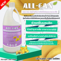 ปุ๋ยน้ำสำหรับกล้วยทุกชนิด 1000ML. ผลเจริญเติบโตดีช่วยเร่งความหวานเพิ่มสีผล ผลผลิตสูงคุณภาพดีALL GANไซโตไคนินและกรดอะมิโนสร้างภูมิต้านทาน