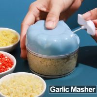 Mini Garlic Masher Kitchen Gadgets Hand Garlic Crusher Manual Mashed Garlic Press Cutting Minced Household Tools Accessories