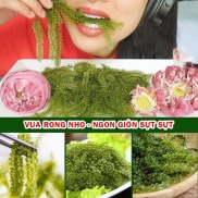 Tặng Nước Sốt Hộp 6 gói 120g Rong Nho Tách nước - rong biển SEA GRAPES