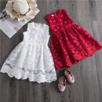 Baby Girl Casaul Dress Lace Sleevless Princess Girls Clothes Tutu Birthday Party Dresses