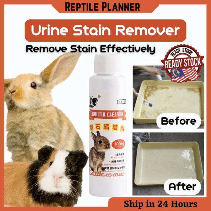 Pet Urine Stain Remover Easy Clean Rabbit Cage Chinchilla Guinea Pig