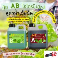 ปุ๋ย AB ชนิดน้ำ 1ลิตร 2แกลอน By Hydroponicgroup (ส่งฟรี)!!??