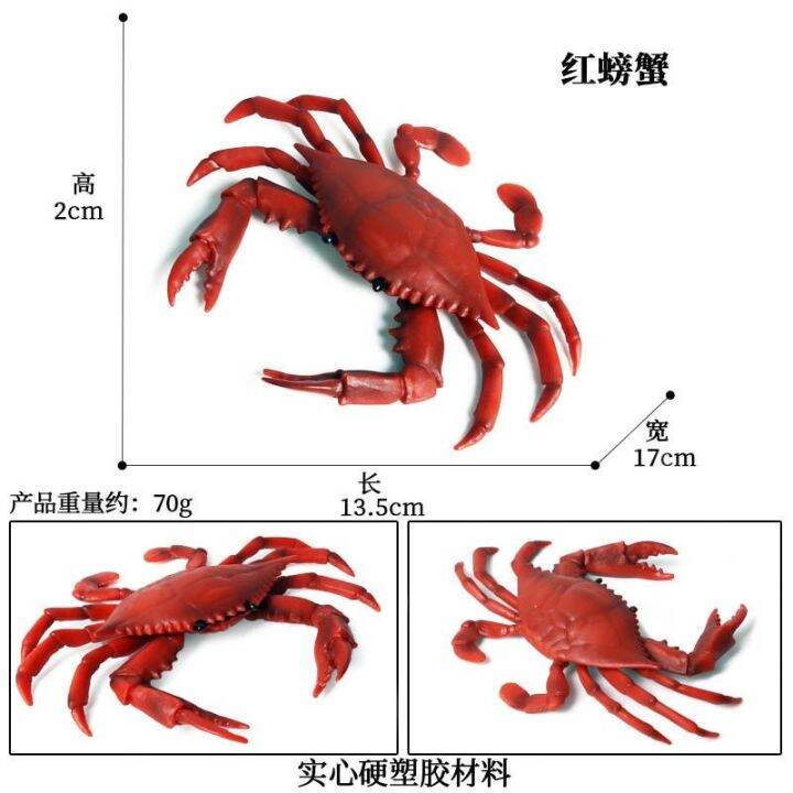 simulation-model-of-ocean-biological-children-toy-animals-crab-crab-crab-hermit-crab