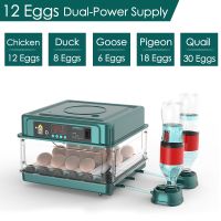 Digital Brooder 10/12 Eggs Incubator Fully Automatic for Chicken Goose Quail Incubation Turner Equipment Hatchery Poultry Tool