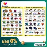 Underwater Corals and Fishes ID