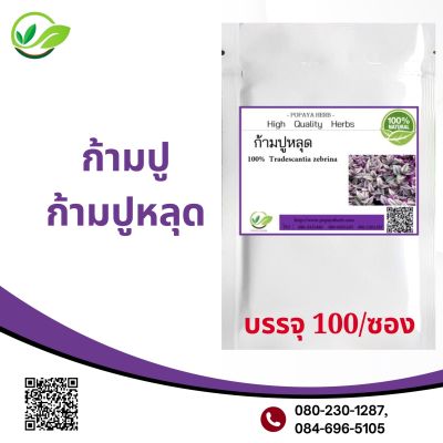 ก้ามปูหลุด 100 แคปซูล ช่วยขับพิษร้อน ถอนพิษไข้  Tradescantia zebrina