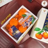 ส่งฟรีรถเย็น! Mikan Orange??? ส้มมิกังจากเมือง Saga ประเทศญี่ปุ่นเนื้อนุ่มละมุนลิ้น หวานฉ่ำไร้เมล็ด