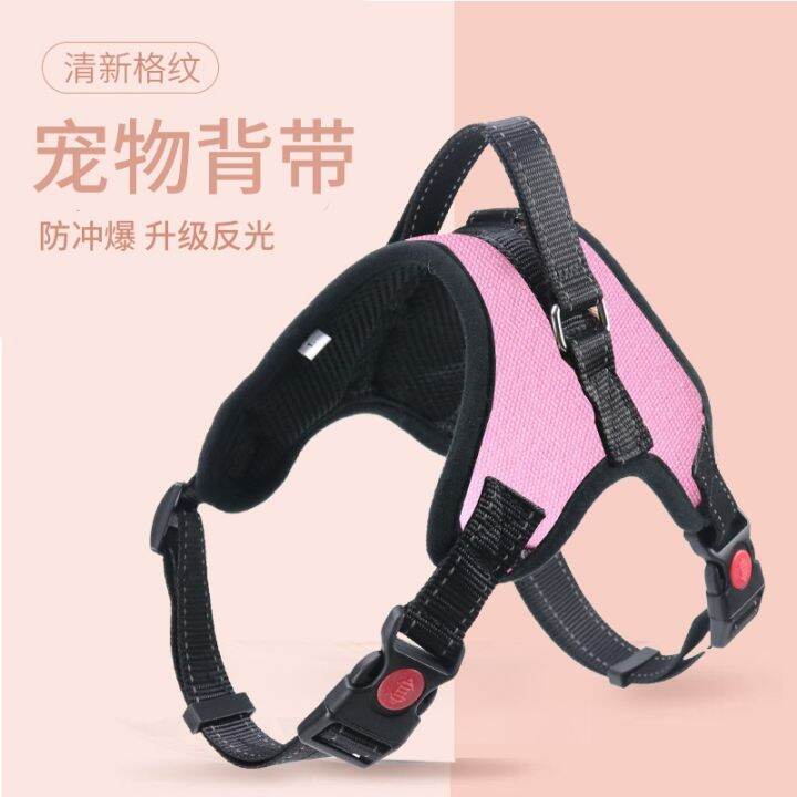 อุปกรณ์สำหรับสัตว์เลี้ยง-amazon-explosive-pet-harness-leash-set-ชุดสายรัดสำหรับสัตว์เลี้ยงป้องกันการระเบิด