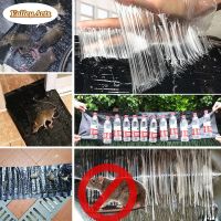 1.2M Large Size Mice Mouse Rodent Glue Traps Board Super Sticky Rat Snake Expel