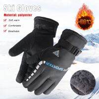 Waterproof Winter Warm Ski Cycling Motocycle Gloves Antislip Thickness Thermal Sports Camping Gloves for Men Women Travel Gloves