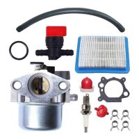 Carburetor Combo Kit Mechanical Carburetor Replacement Parts for Briggs &amp; Stratton 799866 790845 799871 796707 794304 with Accessories