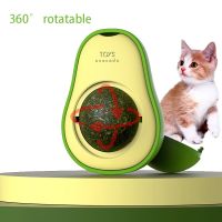 Funny Catnip Toys Cute Avocado Teeth Cleaning Cat Supplies Catnip Mini Toys Fashion Interactive Pet Toys Pet Supplies Toys