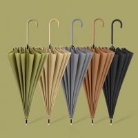 2020 new 16 bone plain straight umbrella small fresh long handle umbrella