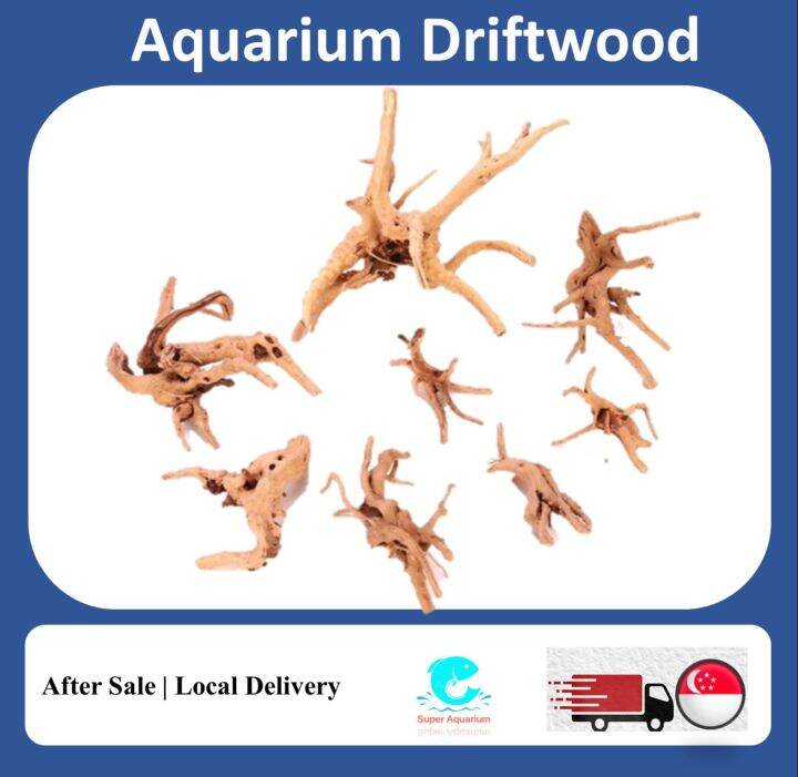 Natural driftwood Aquarium Terraium decoration Lazada Singapore
