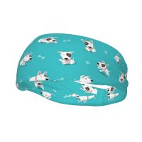 【CW】 Terrier Headband Headwrap Cartoon Hair Bands Sweatband Safety for Men