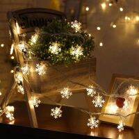 6M 40LED Christmas Snowflake String Light Fairy Lights for Party Wedding Interior Garden Festival Decoration EU 220V