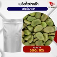 เมล็ดถั่วปากอ้า Broad beans อาหารนก กระต่าย หนู กระต่าย กระรอก ชูก้า และสัตว์ฟันแทะ อาหารสัตว์เลี้ยง (แบ่งขาย 500G / 1KG)