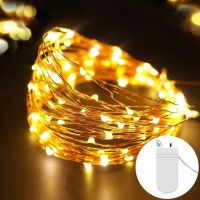 2M 5M Waterproof Battery LED Lights String Copper Wire Fairy Garland Light Lamp Christmas Wedding Party Holiday Lighting