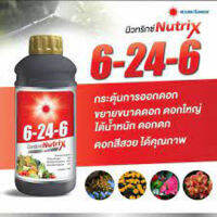 ปุ๋ยน้ำนิวทริกซ์ 6-24-6 1กก. กระตุ้นและส่งเสริมการออกดอก ช่วยบำรุงดอก ส่งเสริมการพัฒนาระบบราก ช่วยเพิ่มความต้านทานโรคในพืช