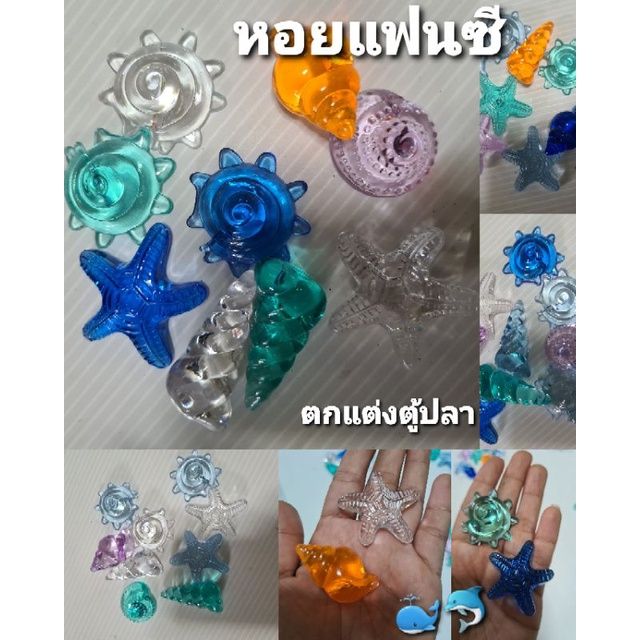 หอยแฟนซี-สีใส-ตกแต่งตู้ปลา-คละแบบคละสี-สินค้าถ่ายจากงานจริง-เซตละ-39-บาท