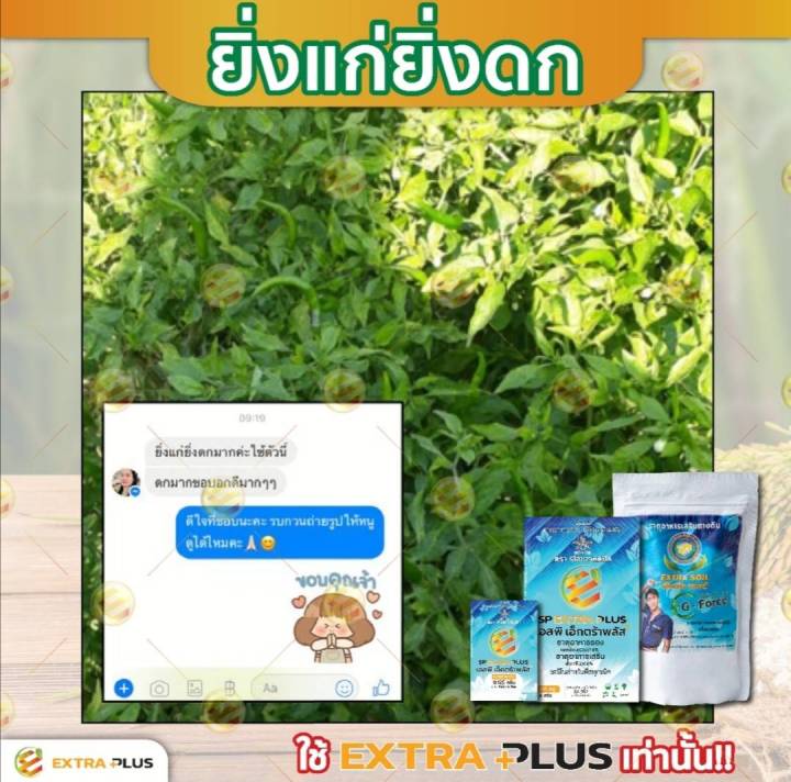 1-ซองทดลองส่งฟรี-extra-plus-เอ็กตร้า-พลัส-ปุ๋ยอินทรีย์-อาหารเสริมพืช-ปุ๋ยฮอร์โมนพืช-กรดอะมิโน-สารบำรุงพืช-24-ชนิด