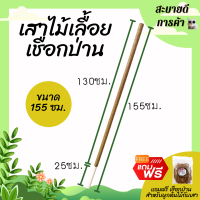 ยาว 155 ซม. หลักต้นไม้ เสาไม้เลื้อย เสาค้ำต้นไม้ เสาเชือกป่าน เชือกขาวดิบ (PVC) DIY ตกแต่งบ้าน ร้าน คอนโด สไตล์มินิมอล ทนทาน ไม่รกตา สบายตา