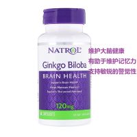 American Natrol Ginkgo Ginkgo Leaf Extract Capsule 120 Mg 60 Grain